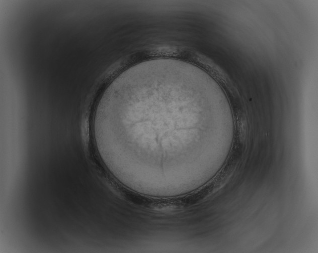 X0000100480729200807111101