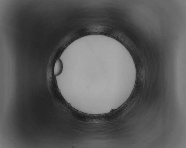 X0000100480731200807111101