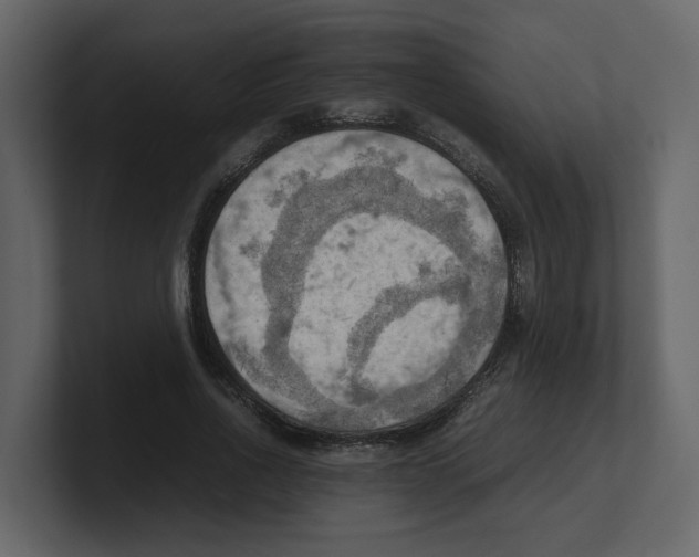 X0000100480734200807111101