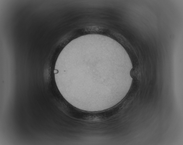 X0000100480735200807111101