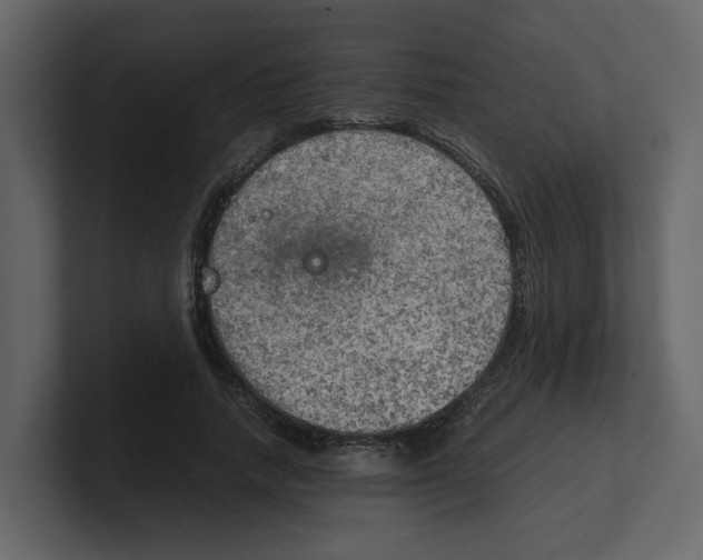 X0000100480738200807111101