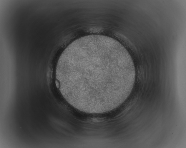 X0000100480739200807111101