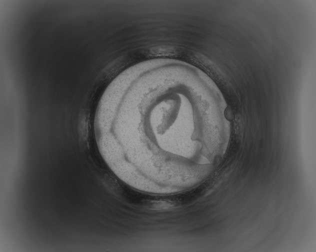 X0000100480741200807111101