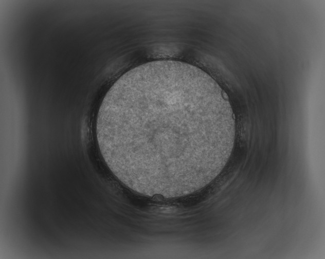 X0000100480743200807111101