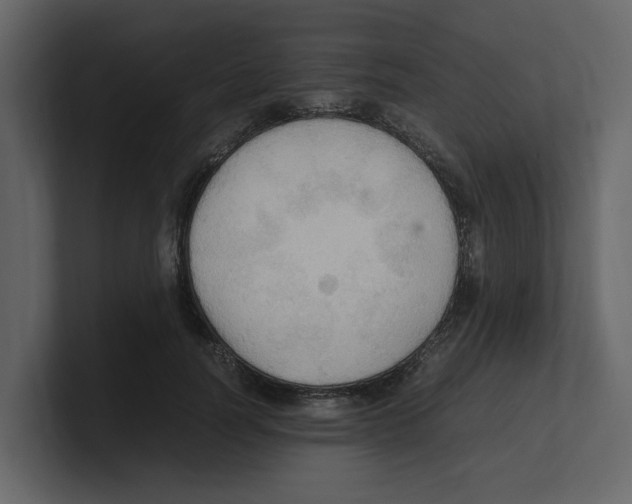 X0000100480746200807111101