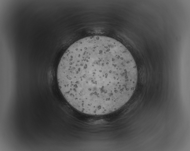 X0000100480747200807111101