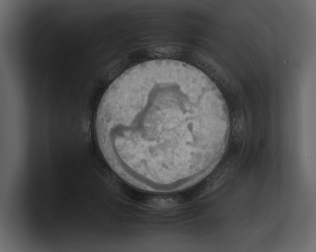 X0000100480749200807111101