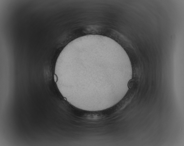 X0000100480751200807111101