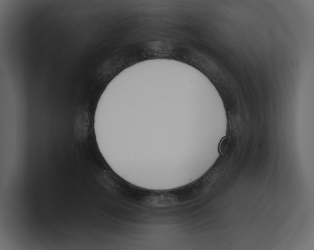 X0000100480752200807111101