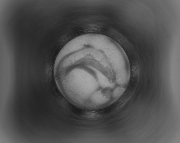 X0000100480753200807111101