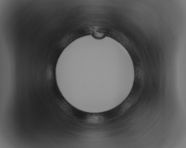 X0000100480754200807111101