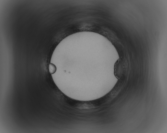 X0000100480755200807111101