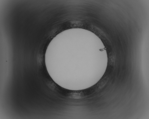 X0000100480756200807111101