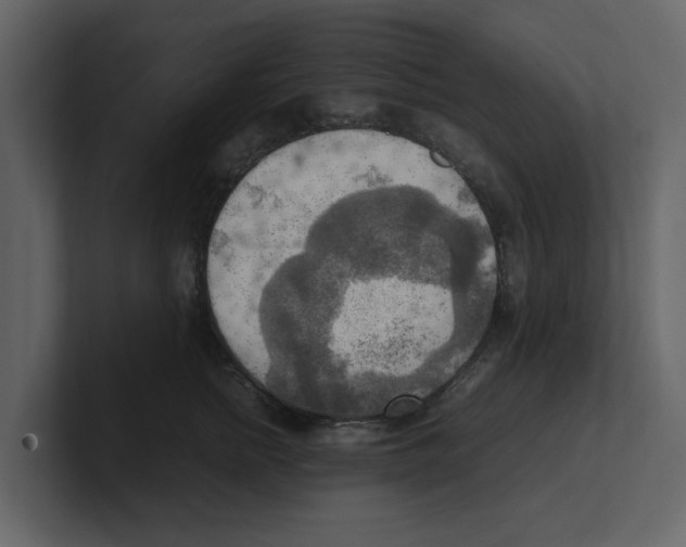 X0000100480758200807111101