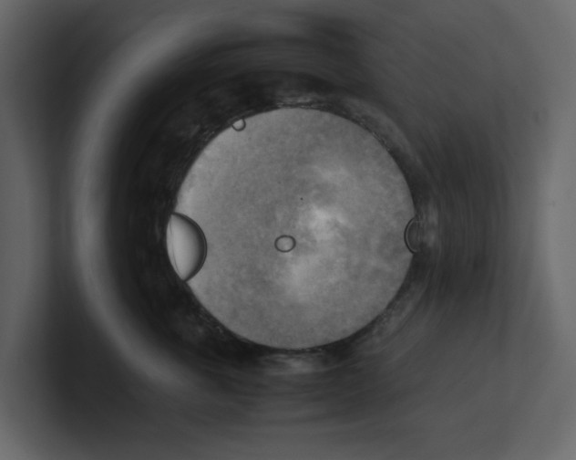 X0000100480763200807111101