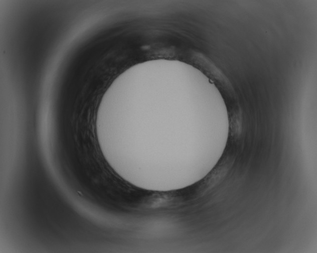 X0000100480764200807111101