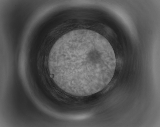 X0000100480765200807111101