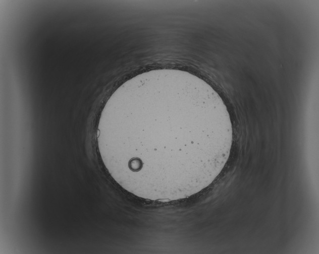 X0000100480769200807111100