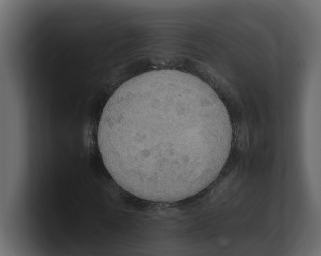 X0000100480770200807111100