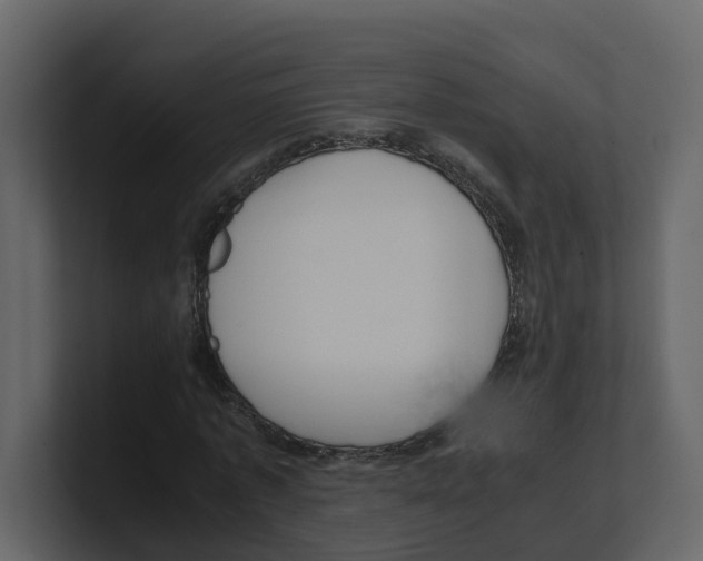 X0000100480773200807111100