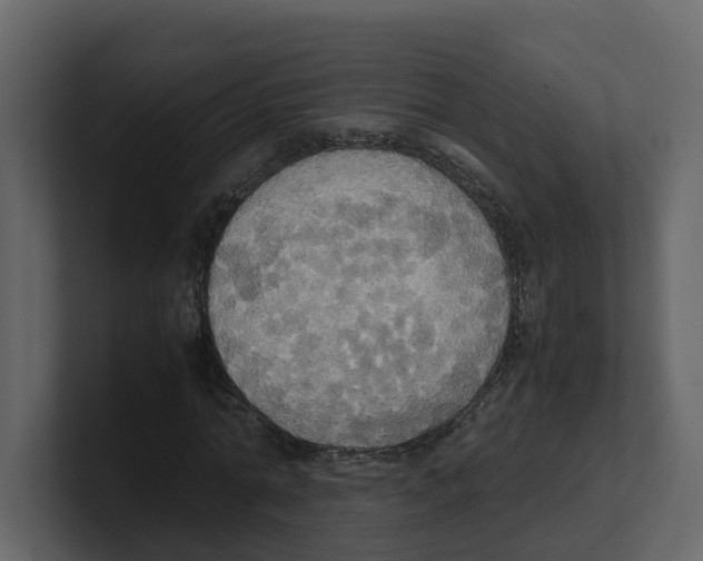 X0000100480774200807111100