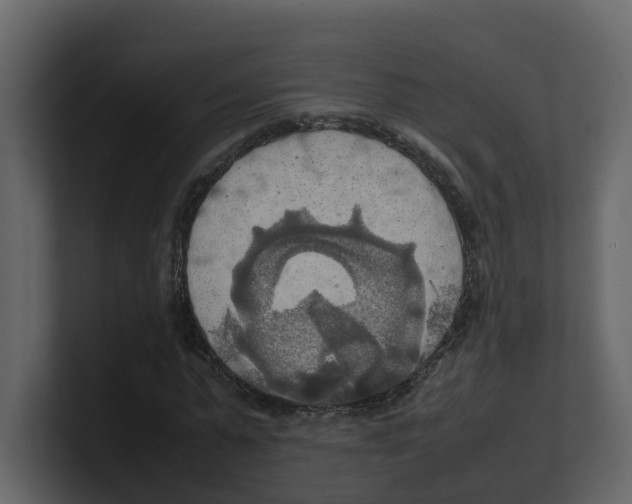 X0000100480775200807111100