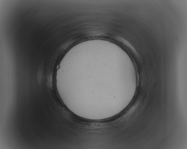 X0000100480777200807111100