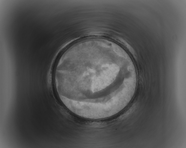 X0000100480779200807111100