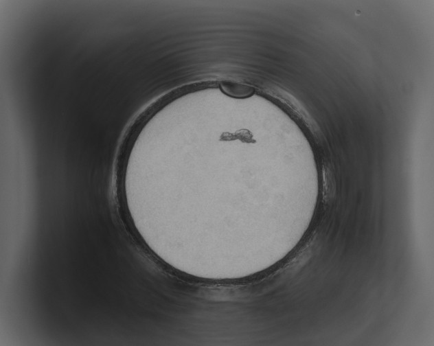 X0000100480780200807111100