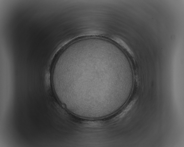 X0000100480781200807111100