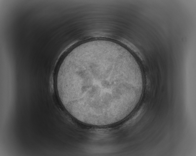 X0000100480782200807111100