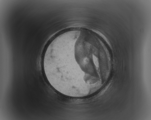 X0000100480783200807111100