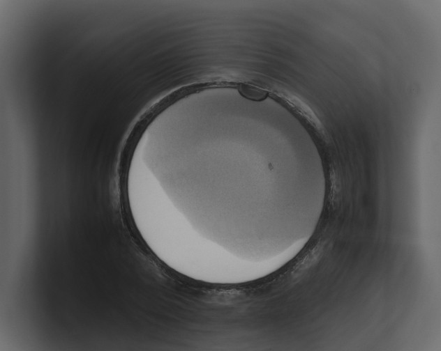 X0000100480784200807111100