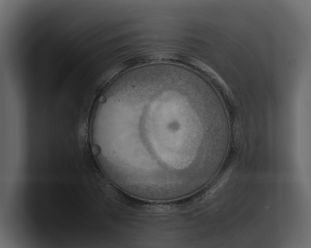 X0000100480785200807111100