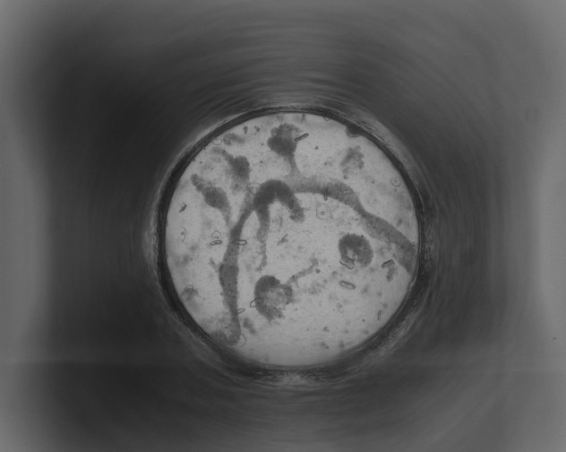 X0000100480787200807111100