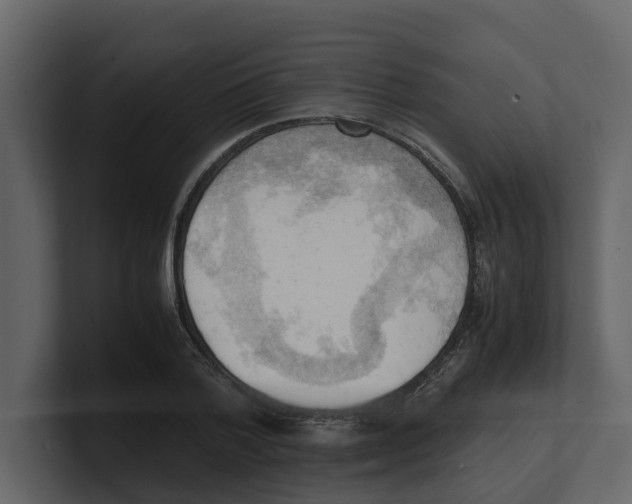 X0000100480788200807111100