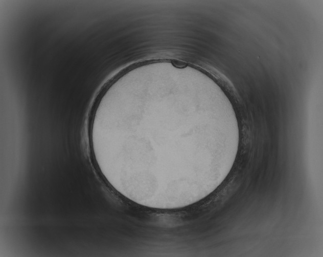 X0000100480792200807111100