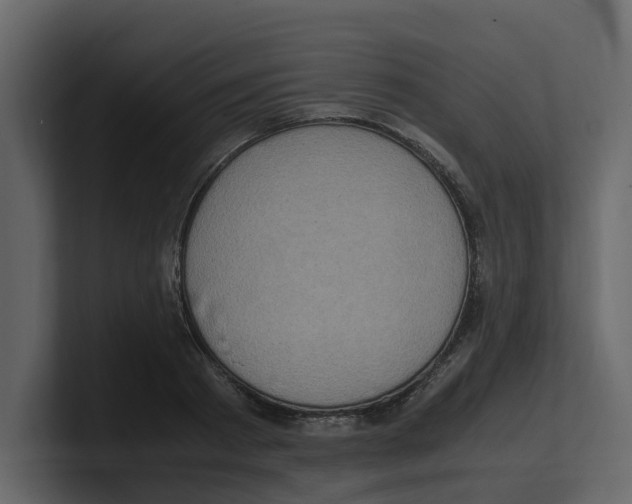 X0000100480793200807111100