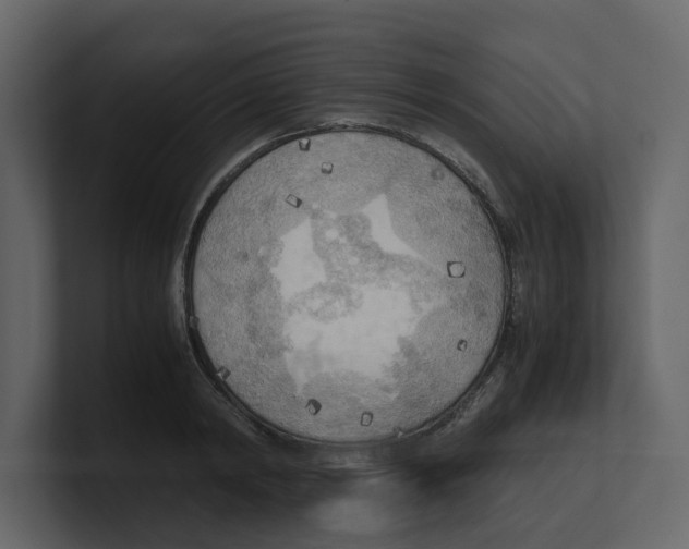 X0000100480798200807111100