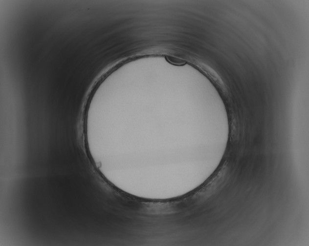 X0000100480800200807111100