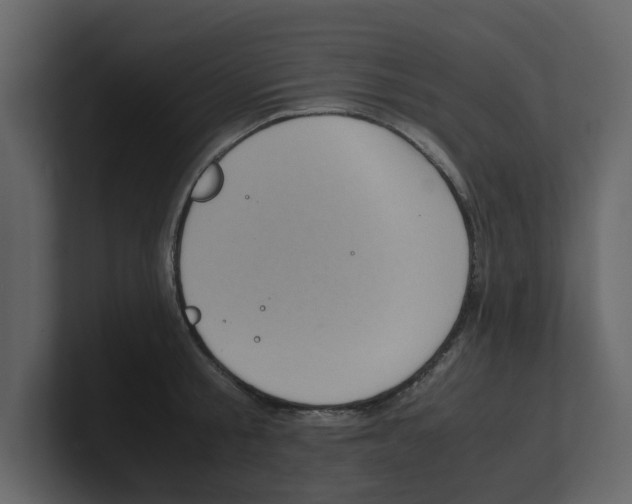 X0000100480805200807111100