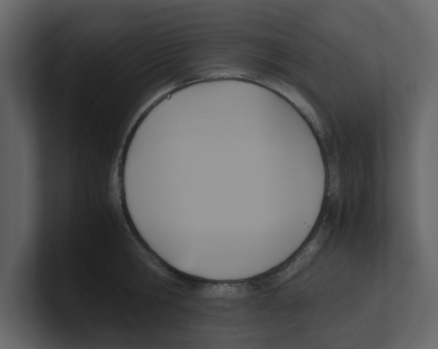 X0000100480806200807111100