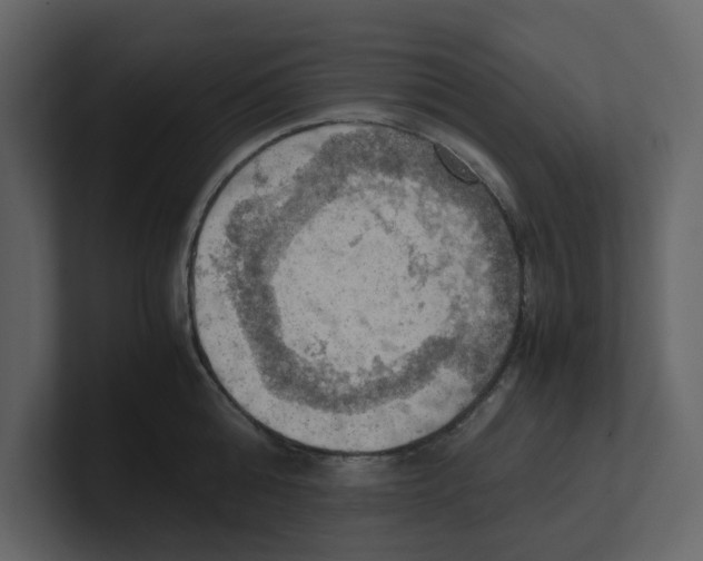 X0000100480808200807111100