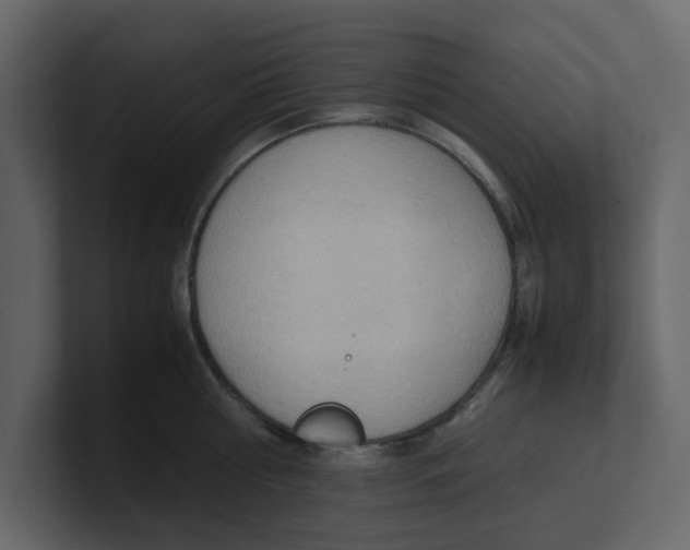 X0000100480810200807111100