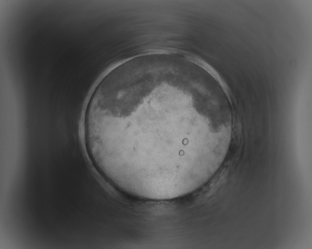 X0000100480811200807111100