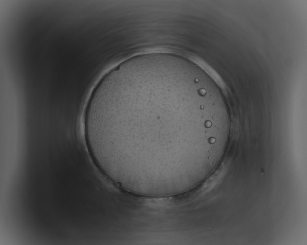 X0000100480813200807111100