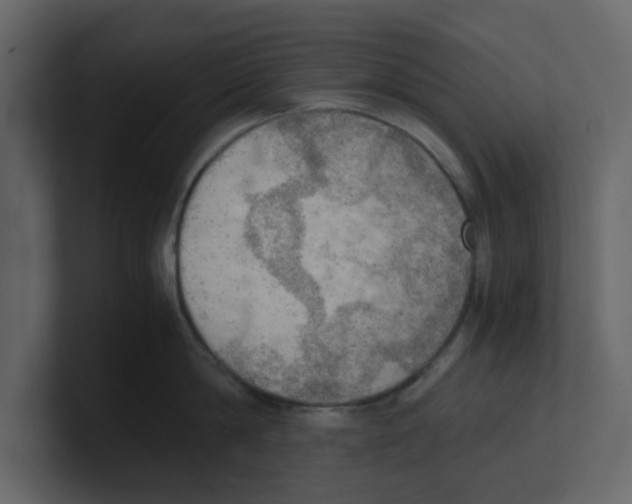 X0000100480814200807111100