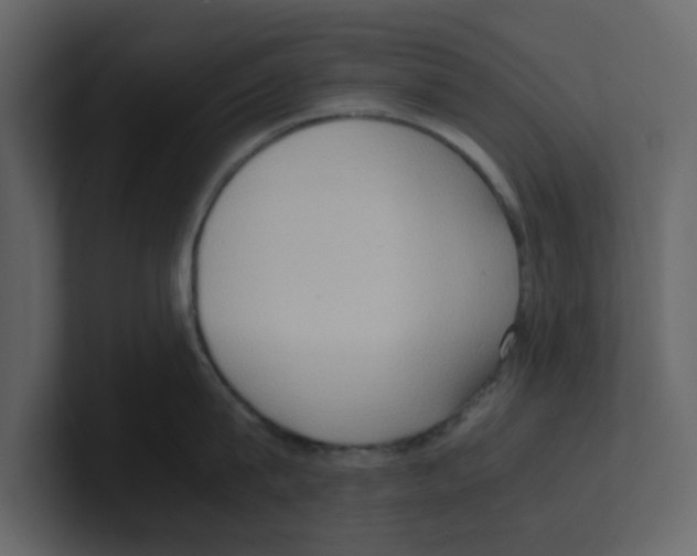 X0000100480815200807111100