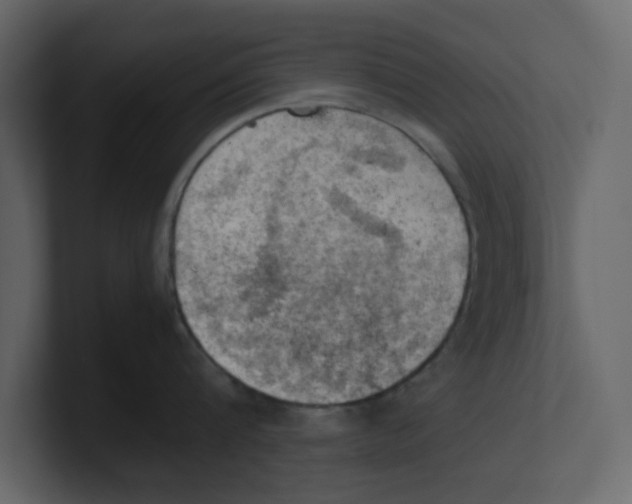 X0000100480816200807111100