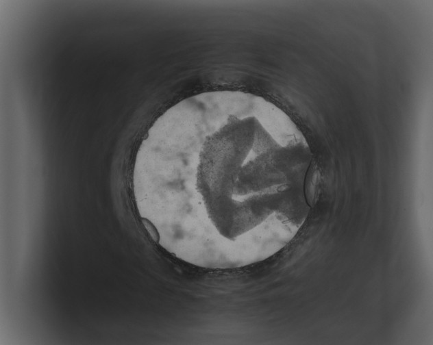 X0000100480817200807111059